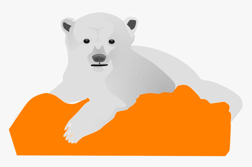 Ice Bear, Polar, Cold, Animal, White, Arctic, Cute - Polar Bear Clip Art, HD Png Download, Free Download