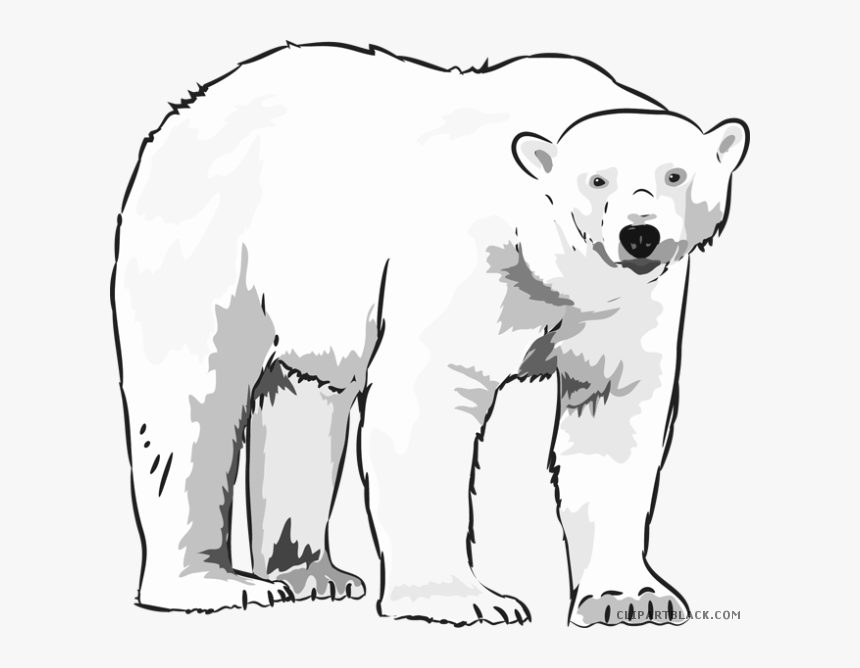 Clip Art Graphic Free Library - Polar Bear Black And White, HD Png Download, Free Download
