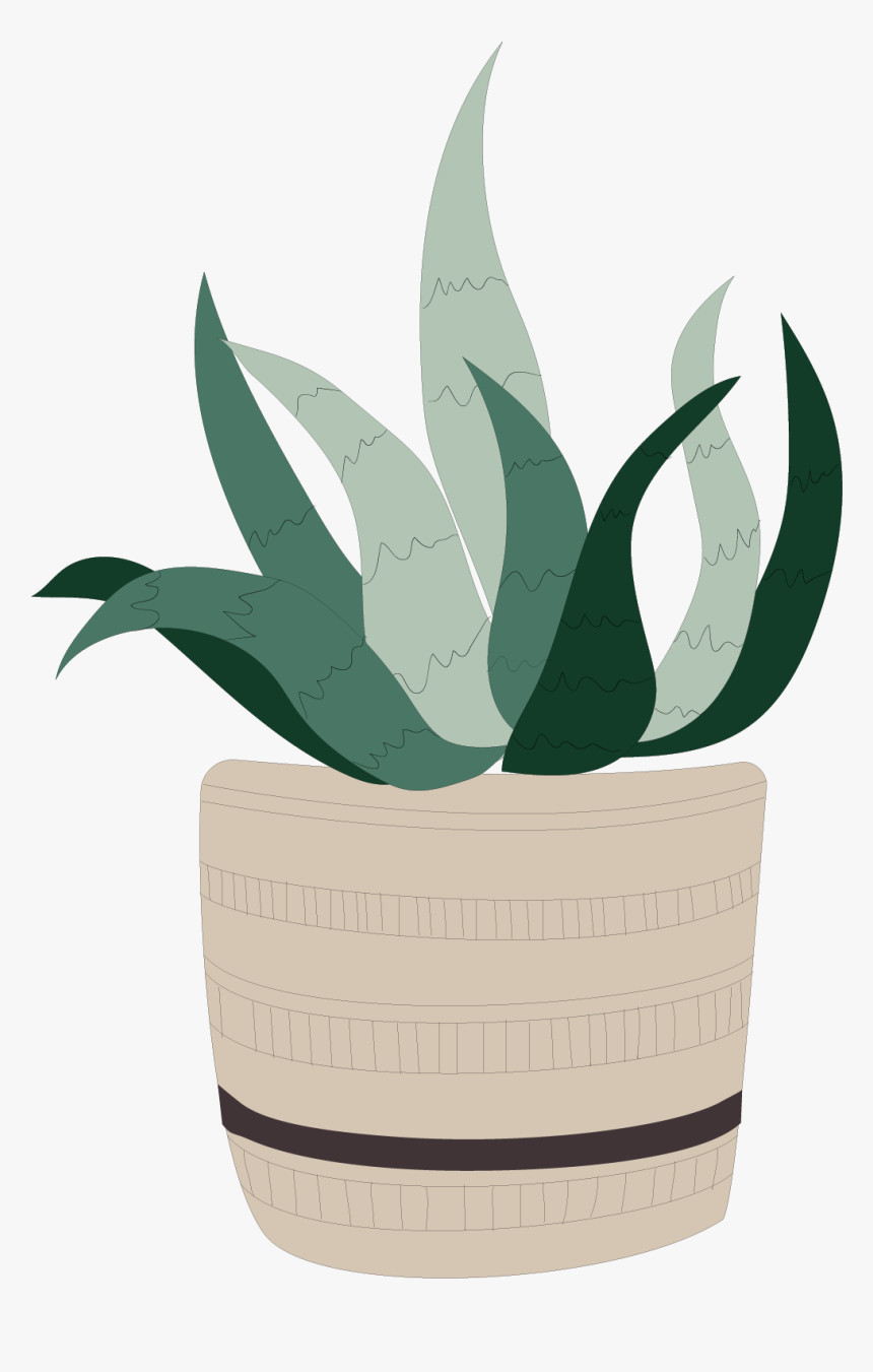 Houseplant, HD Png Download, Free Download