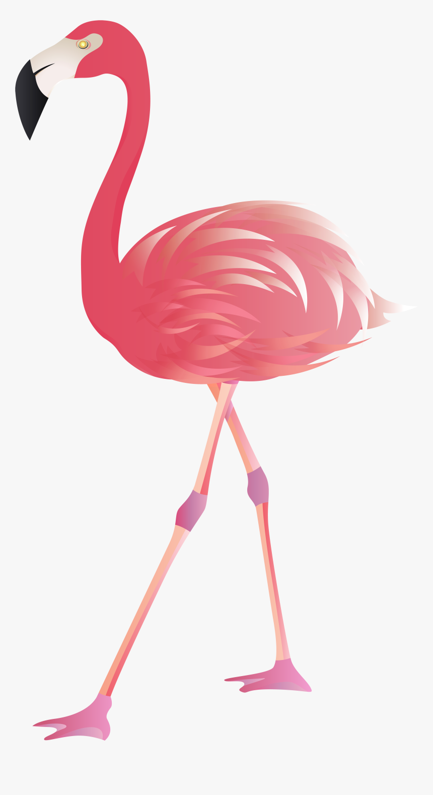 Flamingo Clipart Transparent Png - Transparent Background Pink Flamingo Clipart, Png Download, Free Download