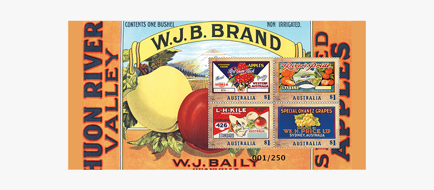 Vintage Labels Collection Product Photo Internal 1 - Label, HD Png Download, Free Download