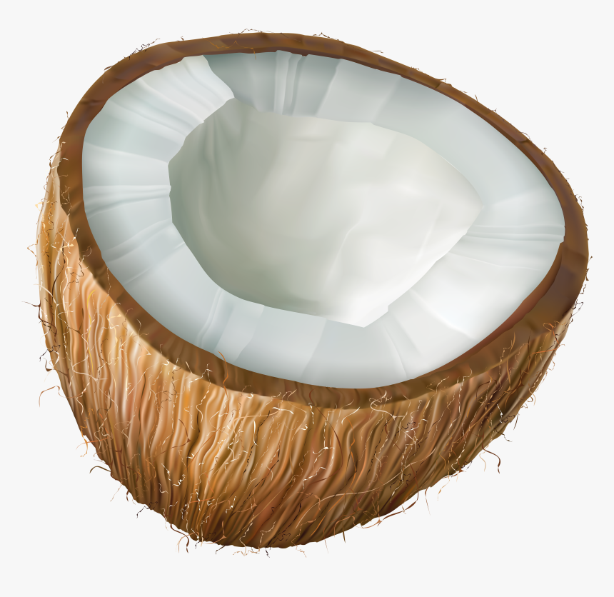 Coconut Clipart Transparent Background, HD Png Download, Free Download