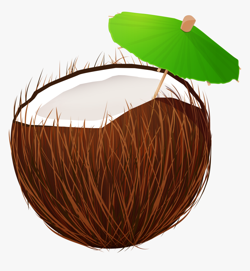 Coconut Clipart Coconut Drink - Coconut Drink Png, Transparent Png, Free Download