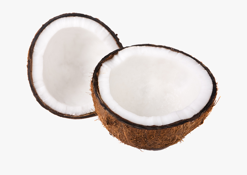 Transparent Coconuts Png - Inside Of A Coconut Png, Png Download, Free Download