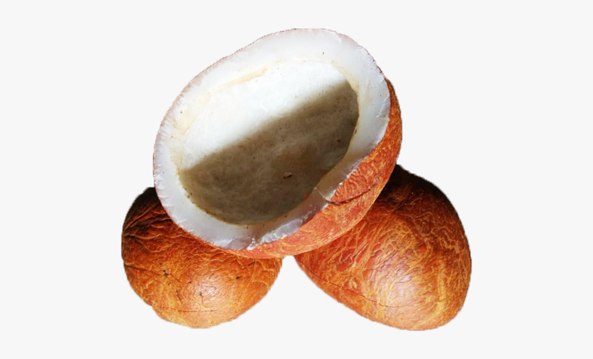 Coconut Dry Fruit Transparent, HD Png Download, Free Download