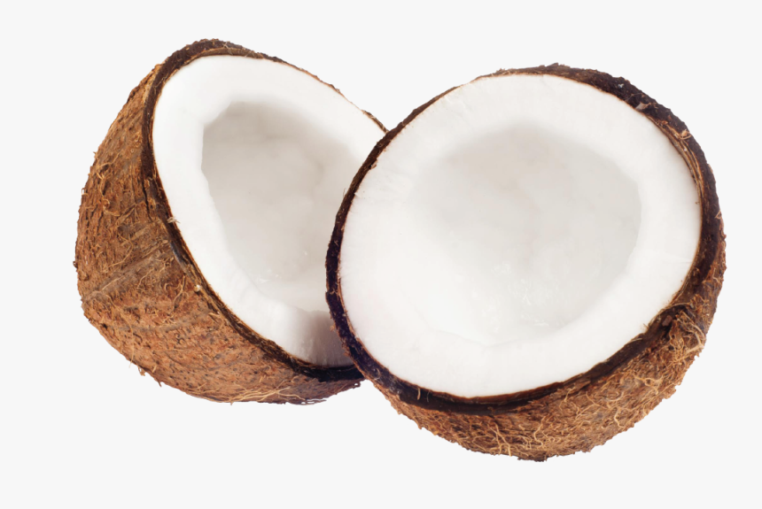 Coconut Hd Images Png, Transparent Png, Free Download