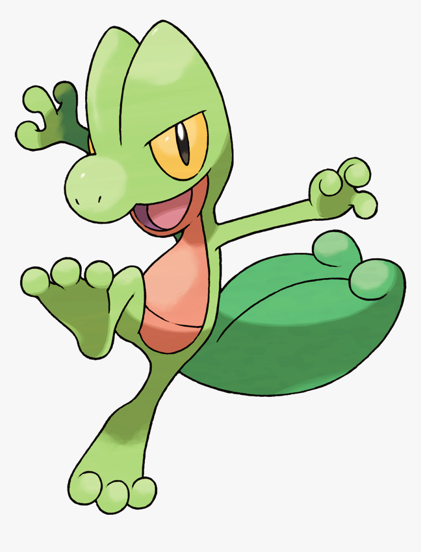 Nj Coding Practice - Treecko Pokemon, HD Png Download, Free Download