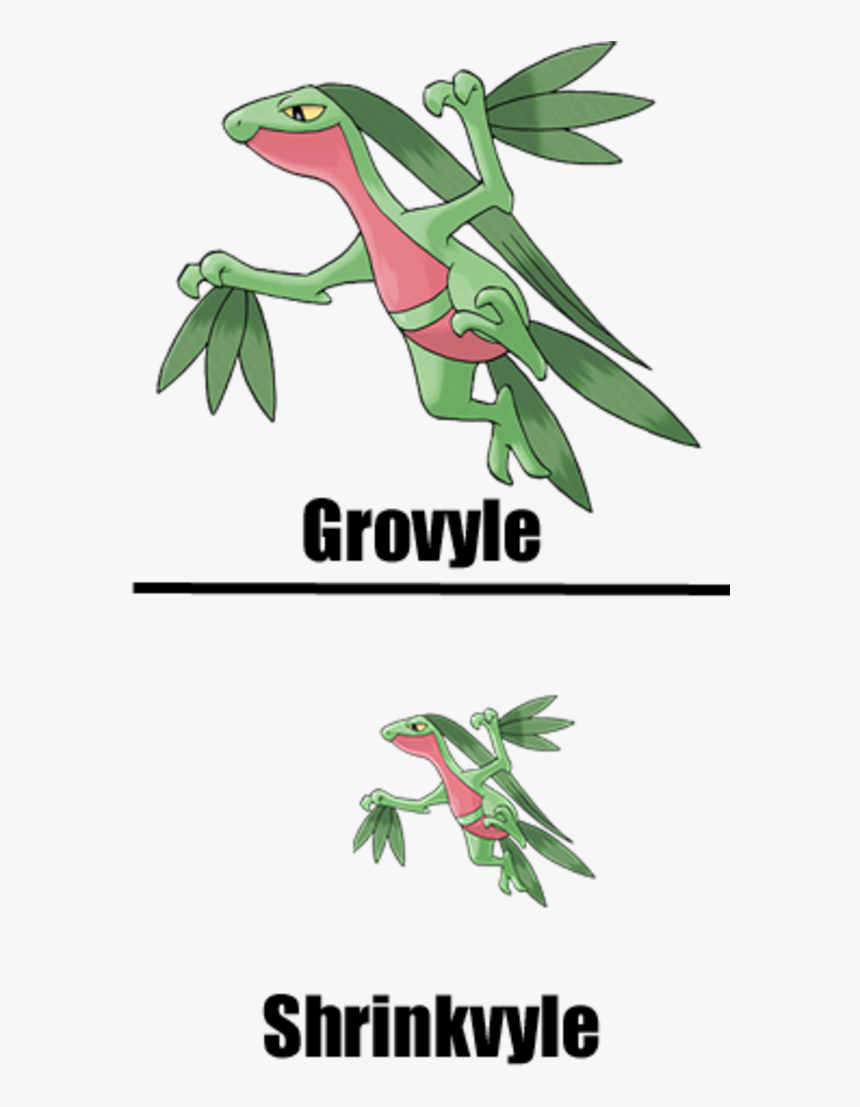 Grovyle Shrinkvyle Pokémon Go Plant Fauna Leaf Flora - Grovyle Pokémon, HD Png Download, Free Download