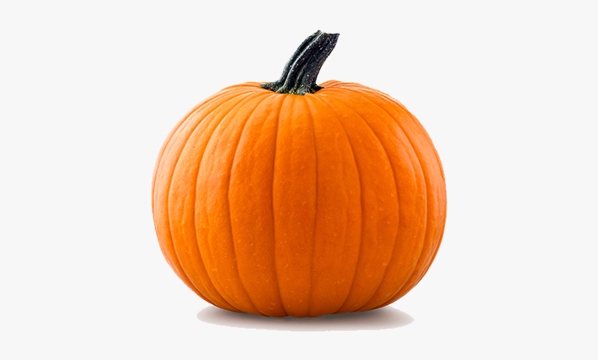 Orange Pumpkin, HD Png Download, Free Download