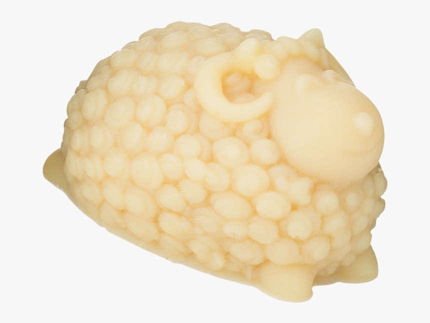 Transparent Baby Sheep Png - Shell, Png Download, Free Download