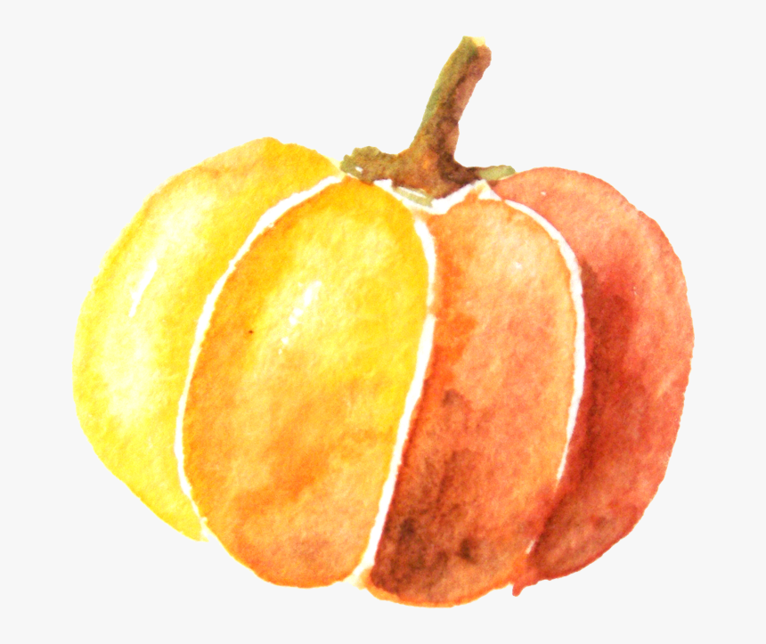 Pumpkin Watercolor Painting - Transparent Background Pumpkin Clipart, HD Png Download, Free Download