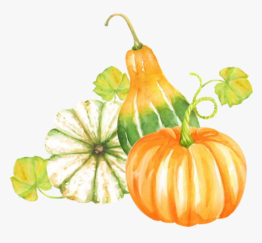 Foods,vegetarian Food,clip Plant - Pumpkin Fall Clipart Png, Transparent Png, Free Download