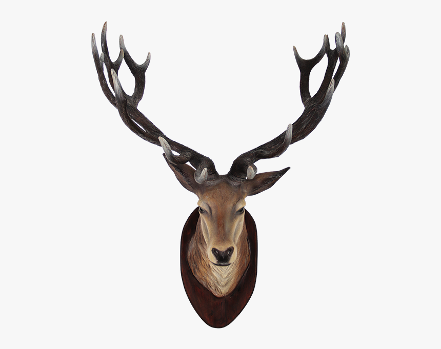 Deer Head Wall, HD Png Download, Free Download