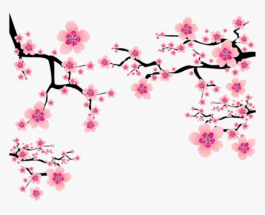 Cherry Blossom Branch Png - Transparent Cherry Blossom Png, Png Download, Free Download