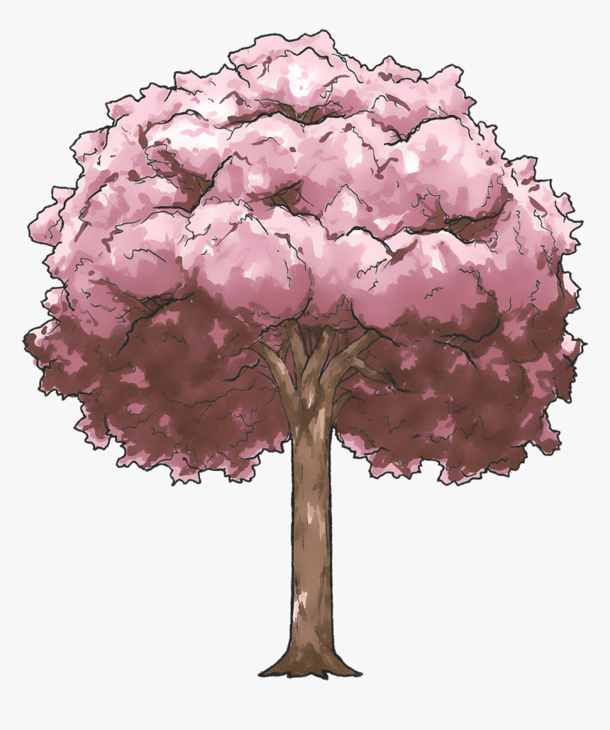 Transparent Sakura Clipart - Cherry Blossom Anime Tree, HD Png Download, Free Download