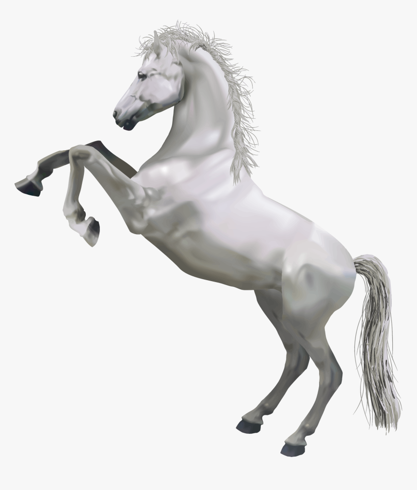 Horse Png Pic - White Horse Png, Transparent Png, Free Download