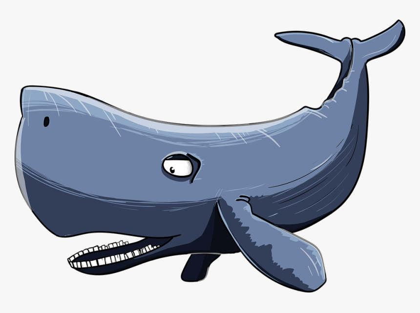 Sperm Whale, Kit, Cartoon, Floaters, Sea Giant - Cartoon Whale Mouth Open, HD Png Download, Free Download