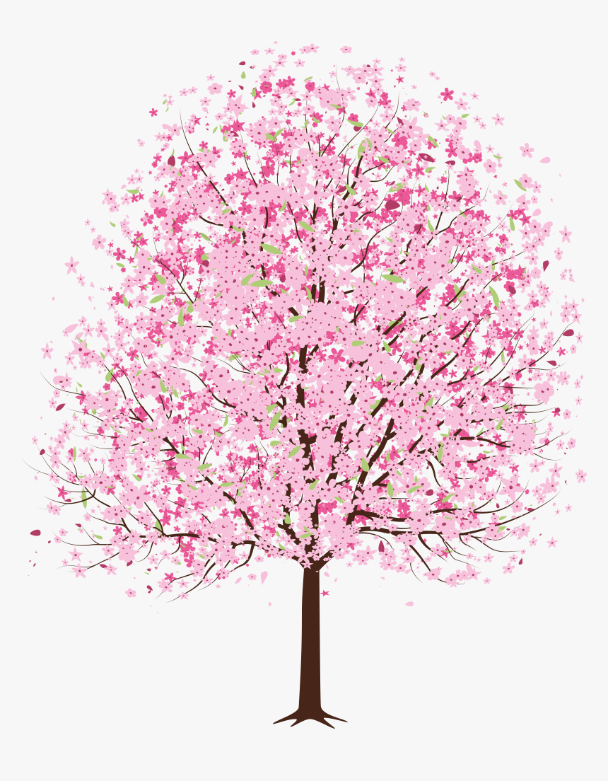 Cherry Blossom Png Transparent, Png Download, Free Download