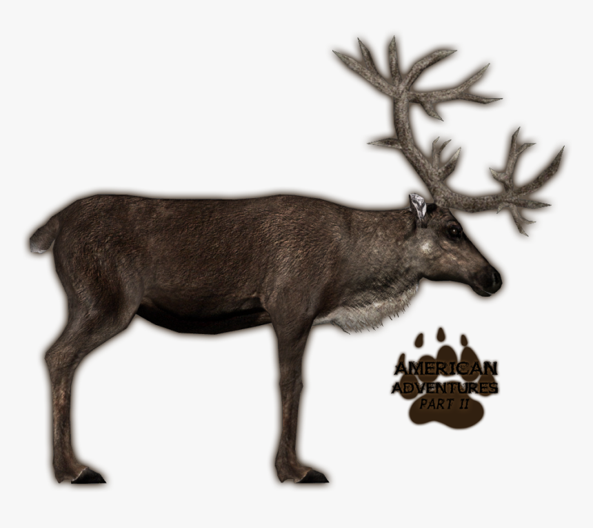 Reindeer Antlers Png - Zoo Tycoon 2 Caribou Remake, Transparent Png, Free Download