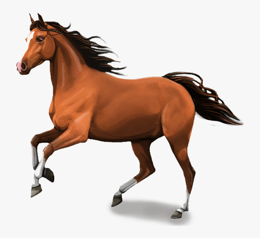 Transparent Background Horse Png, Png Download, Free Download