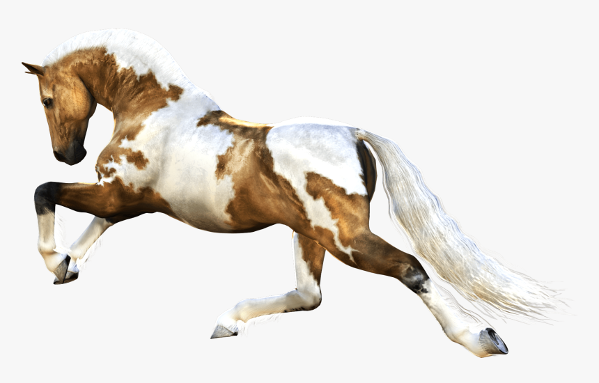 Horse Png - Horses Png, Transparent Png, Free Download