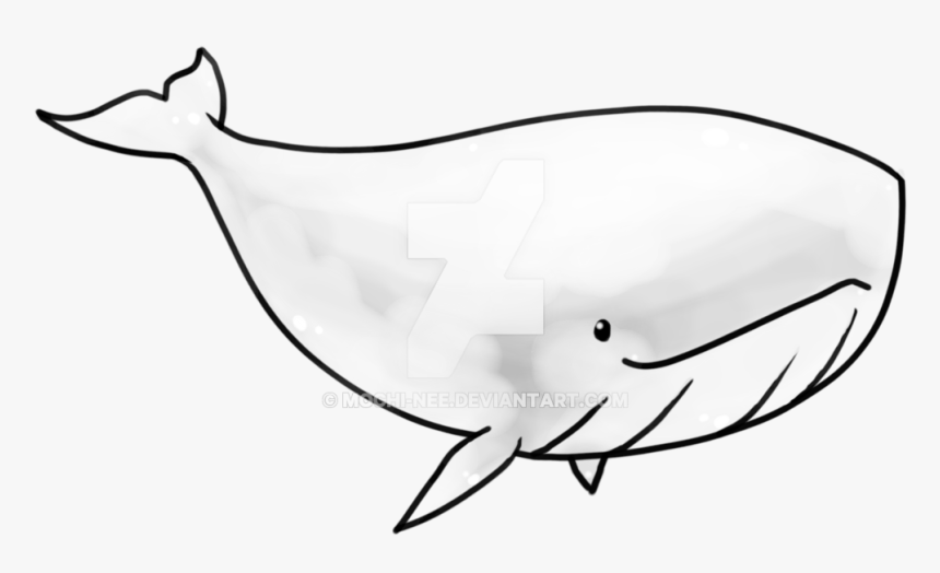 Drawing Transparent Cute - Whale Clipart Black And White Transparent, HD Png Download, Free Download