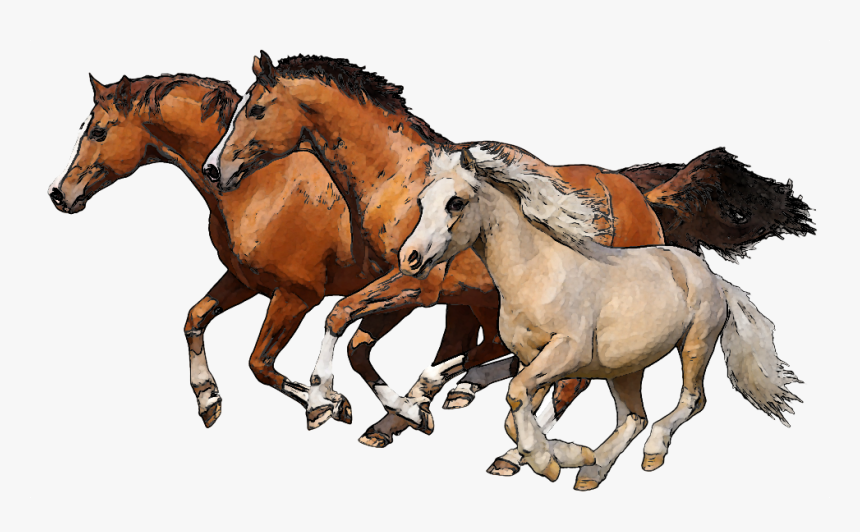 Download Horse Png Transparent Images Transparent Backgrounds - Running Horses Png, Png Download, Free Download