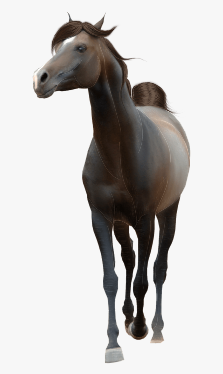 Transparent Background Horse Png, Png Download, Free Download