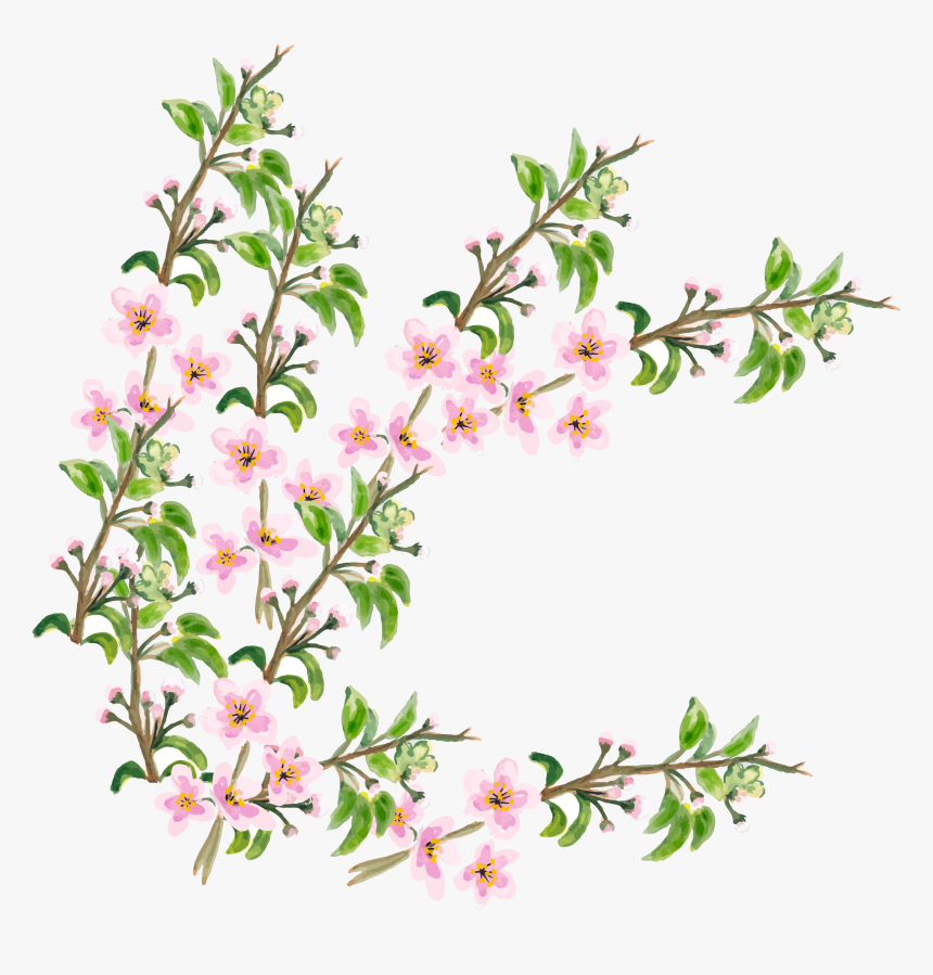 Transparent Cherry Blossom Png - Cherry Blossom, Png Download, Free Download