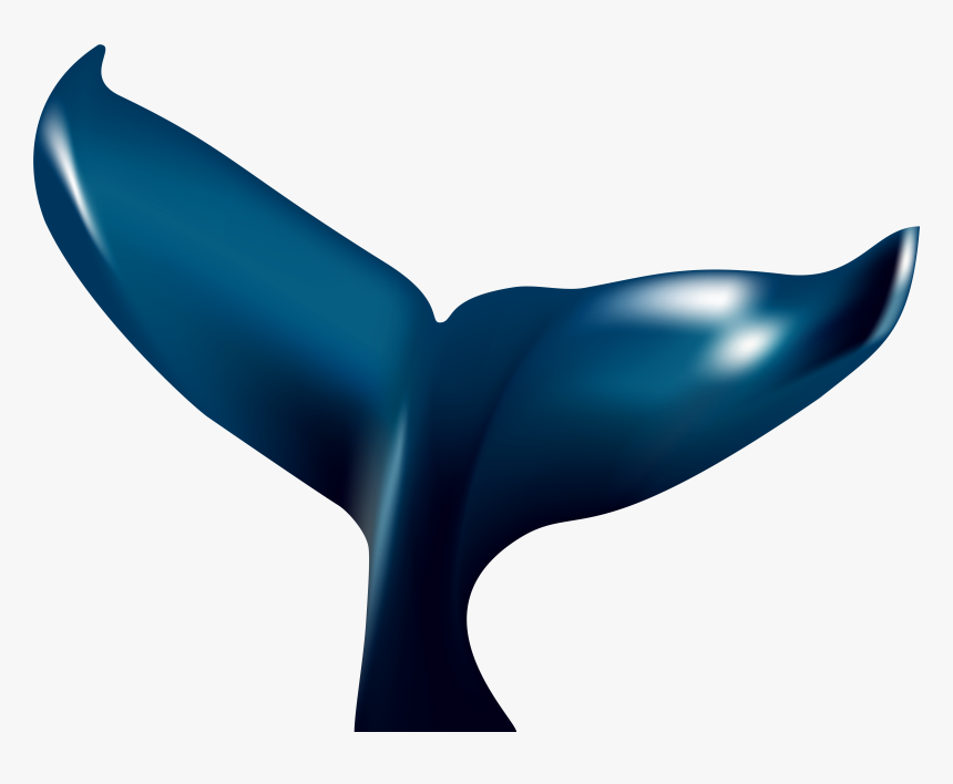 Transparent Whale, HD Png Download, Free Download