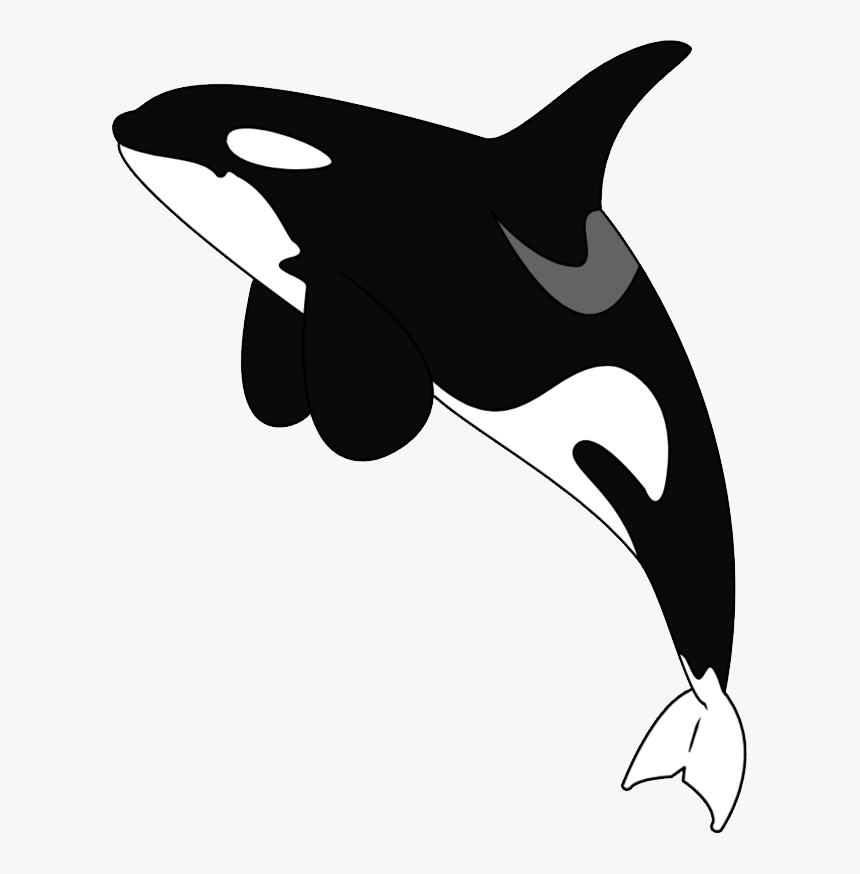 Killer Whale Png, Download Png Image With Transparent - Cartoon Killer Whale Transparent Background, Png Download, Free Download