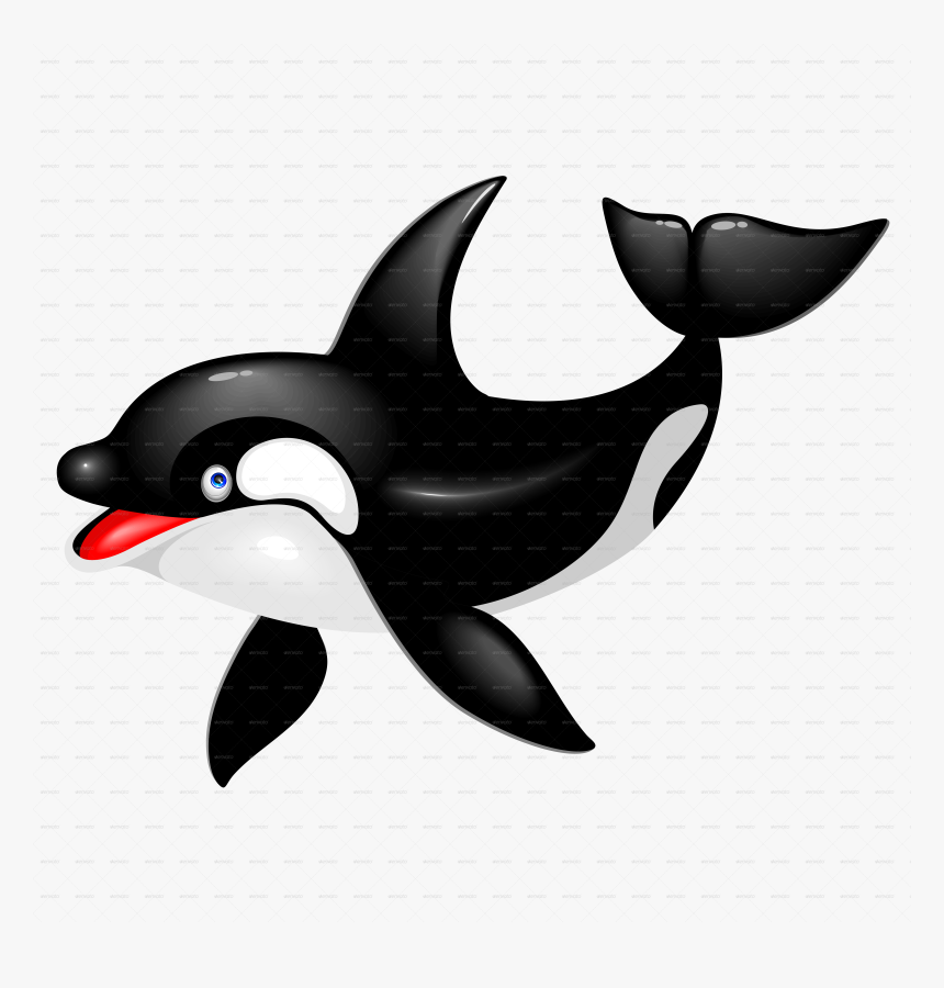 Porpoise Drawing Killer Whale - Killer Whale Transparent Gif, HD Png Download, Free Download