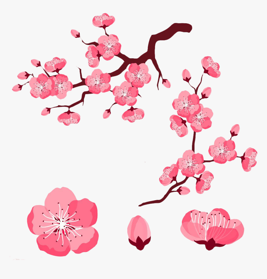 Cherry Blossom Petals Clipart 4 By Jared - Cartoon Cherry Blossoms Flower, HD Png Download, Free Download