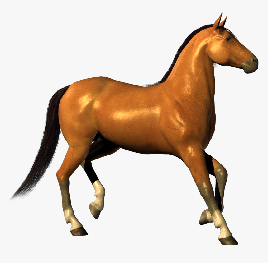 Transparent Horse Clipart - Background Horse Images Hd, HD Png Download, Free Download
