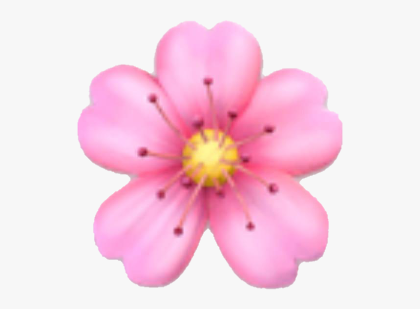 Clip Art Sakura Flower Emoji - Flower Emoji Png, Transparent Png, Free Download