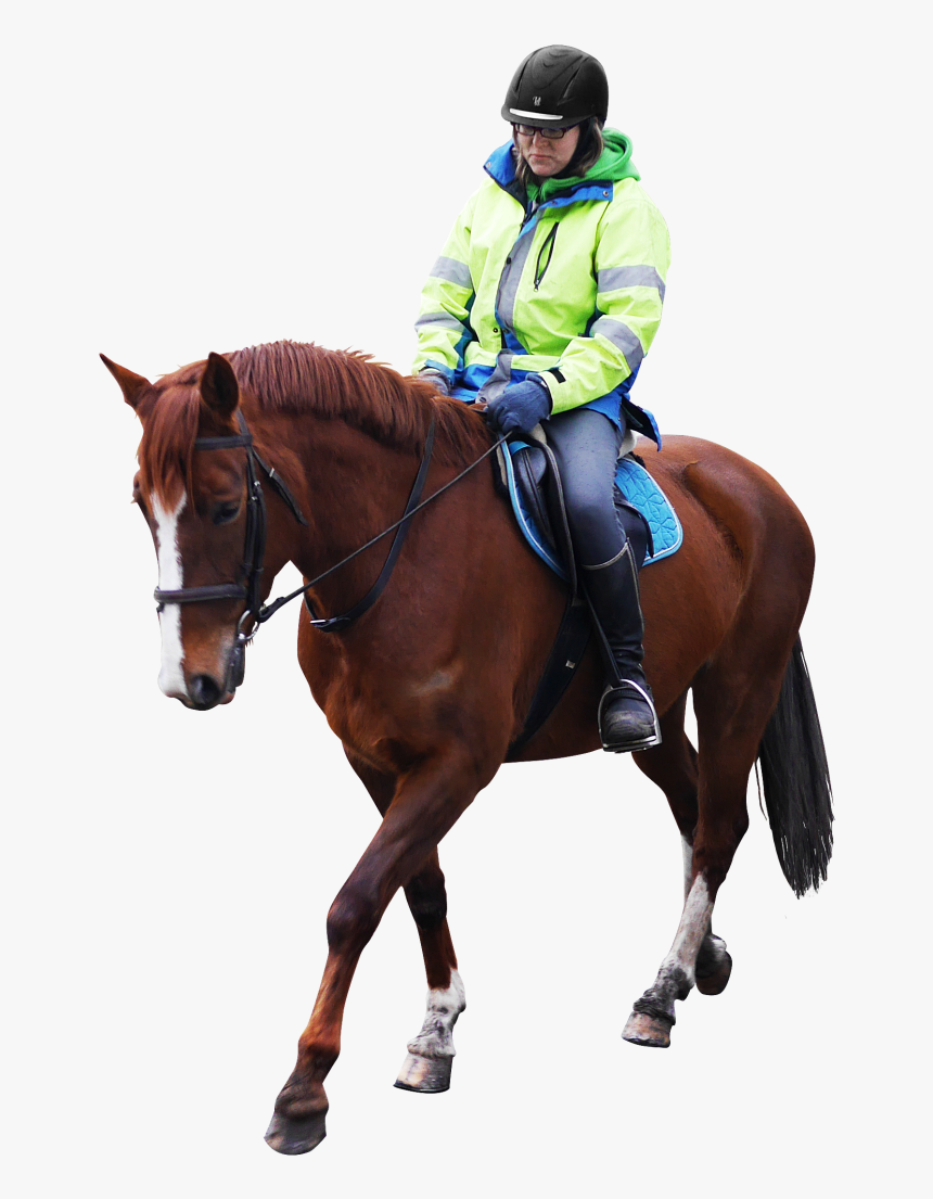 Horse Riding Png Image - Horse Riding Png, Transparent Png, Free Download