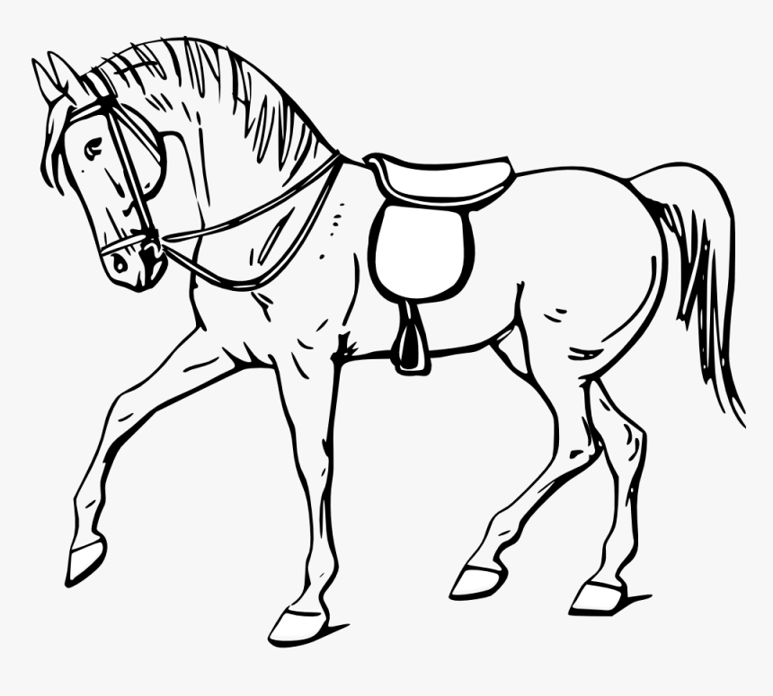 Walking Horse Outline - Clip Art Black And White Horse, HD Png Download, Free Download