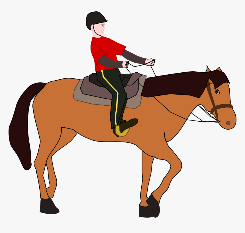 Transparent Horse Clipart - Horse Riding Clipart, HD Png Download, Free Download