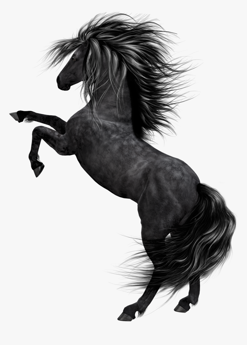 P - Black Horse Png Hd, Transparent Png, Free Download