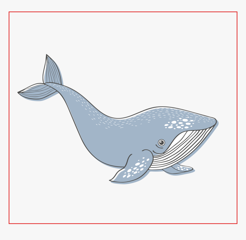 Forma Cuadarada Blue Whale - Blue Whale, HD Png Download, Free Download