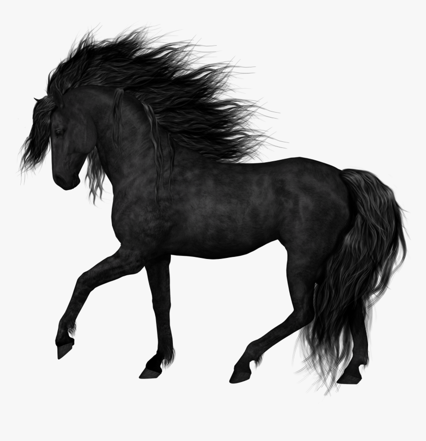 Black Horse Transparent Background, HD Png Download, Free Download