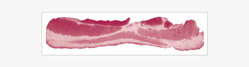 Bacon Strip Bumper Sticker - Bacon Stickers Png, Transparent Png, Free Download