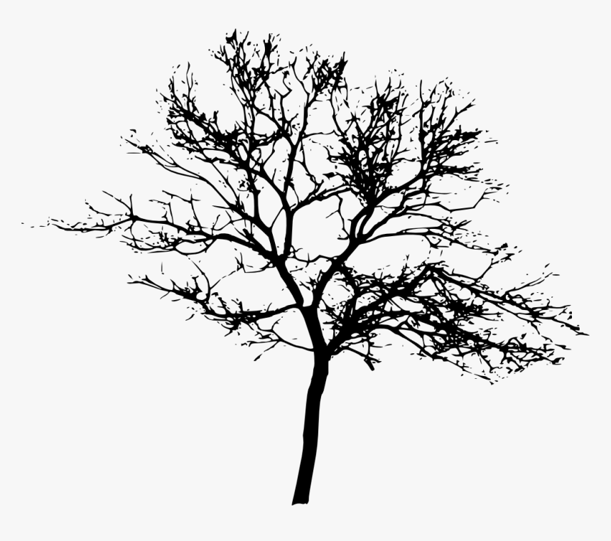 10 Tree Silhouettes - Tree Silhouette Png Transparent, Png Download, Free Download