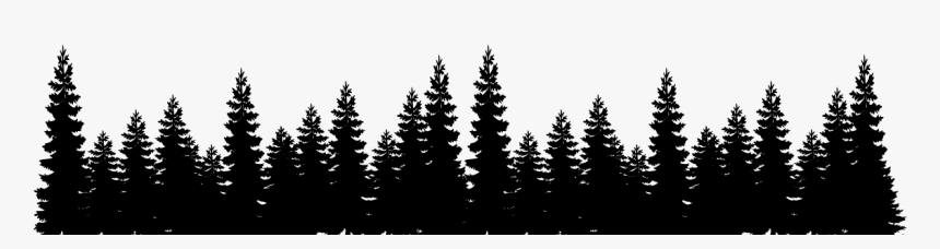 Forest Black Tree Png - Pine Tree Forest Silhouette, Transparent Png, Free Download