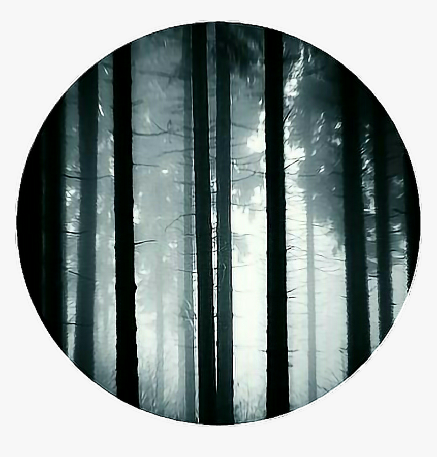 Transparent Forest Trees Clipart - Dark Forest Icon, HD Png Download, Free Download