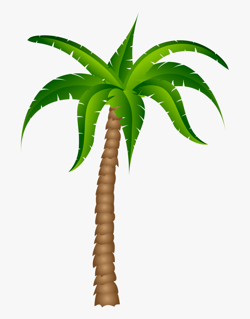 Palm Tree Palm Best Clipart - Transparent Palm Tree Clipart, HD Png Download, Free Download