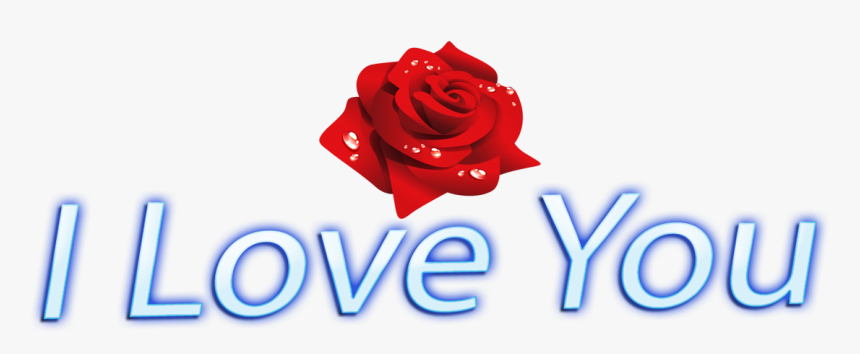 I Love You Png Rose Images - Love You Images Transparent, Png Download, Free Download