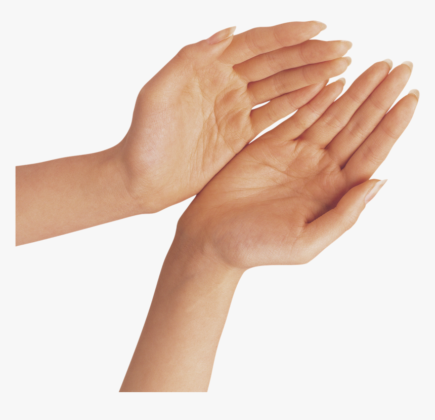 Hand Png Transparent Background - Transparent Background Hands Clipart, Png Download, Free Download