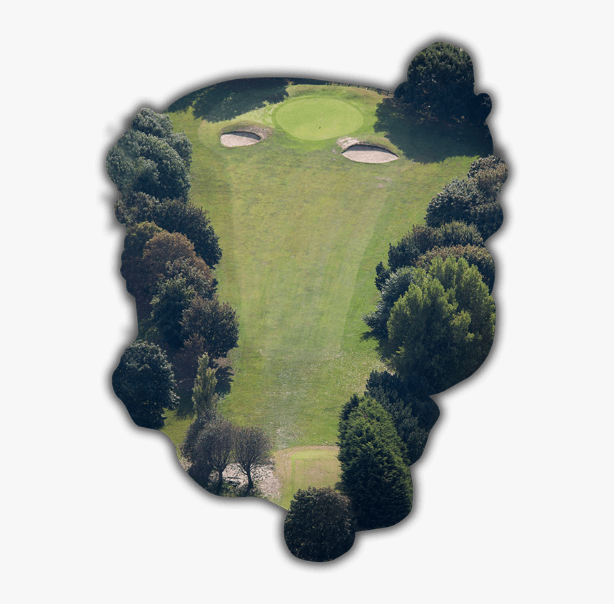 Tree - Great Salterns Golf Course, HD Png Download, Free Download