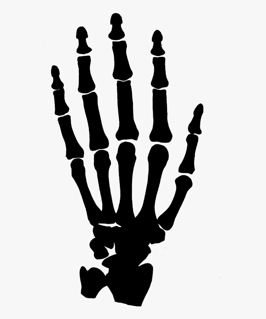 Skeleton Hand Cliparts Free Download Clip Art Png - Skeleton Hand Clipart, Transparent Png, Free Download